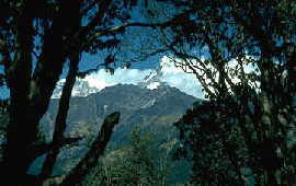 Buthan 01.jpg (9139 Byte)